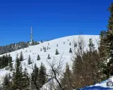 Feldberg: Deutschlands höchster Berg (1.493m) Tipps & Aktivitäten