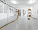 Academie der schönsten Künste Stuttgart: Events & Genuss