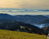 Die höchsten Gipfel im Schwarzwald: Tipps für Ihre Tour