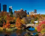 Central Park Attraktionen: Ihr Guide für New Yorks grüne Lunge