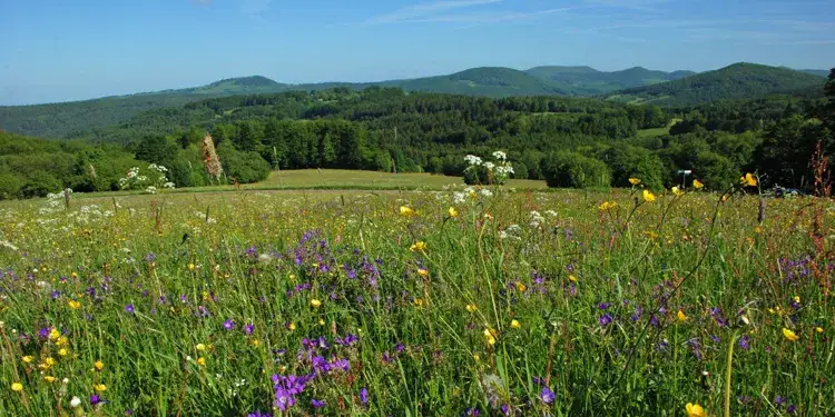 Schwarzer Berg Rh&ouml;n Panorama Jahreszeiten